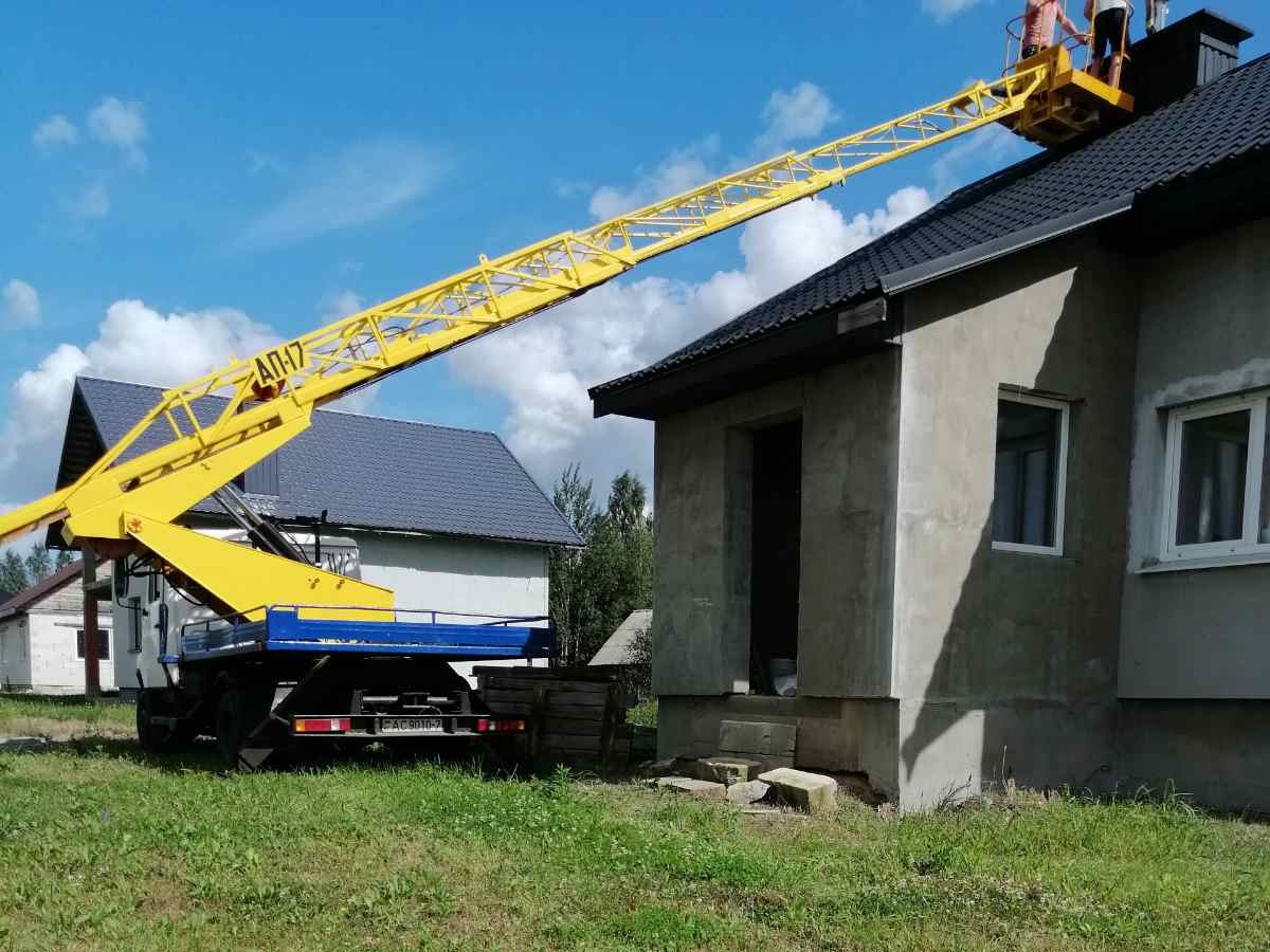 Спил деревьев